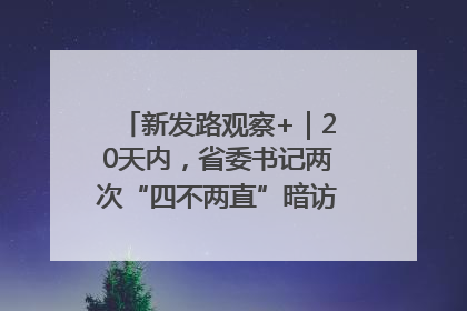 新发路观察+｜20天内，省委书记两次“四不两直”暗访，有何深意？