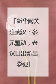 新华网关注武汉：多元驱动，老汉口出新出彩强