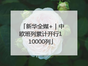 新华全媒+｜中欧班列累计开行110000列