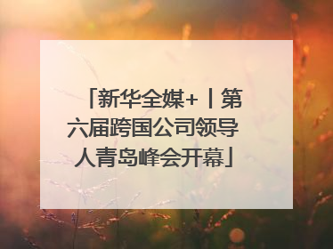新华全媒+丨第六届跨国公司领导人青岛峰会开幕