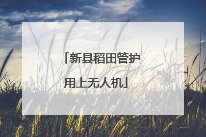 新县稻田管护用上无人机