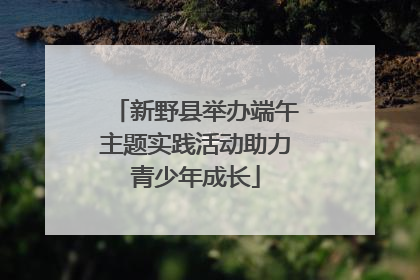 新野县举办端午主题实践活动助力青少年成长