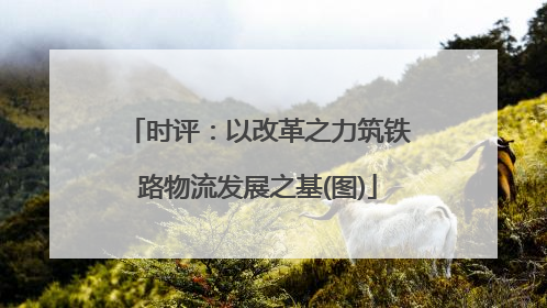 时评：以改革之力筑铁路物流发展之基(图)