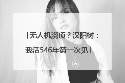 无人机浇顶？汉阳树：我活546年第一次见