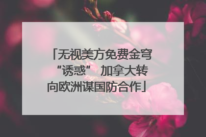 无视美方免费金穹“诱惑” 加拿大转向欧洲谋国防合作