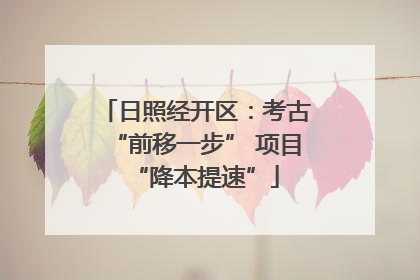 日照经开区：考古“前移一步” 项目“降本提速”