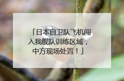 日本自卫队飞机闯入我舰队训练区域，中方现场处置！