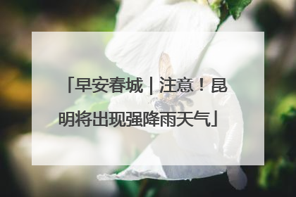 早安春城｜注意！昆明将出现强降雨天气