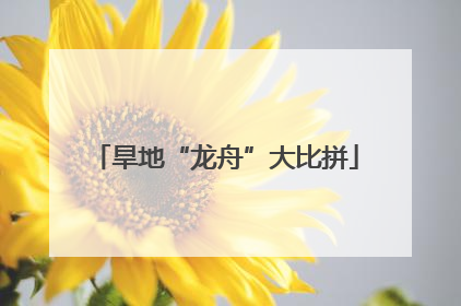 旱地“龙舟”大比拼