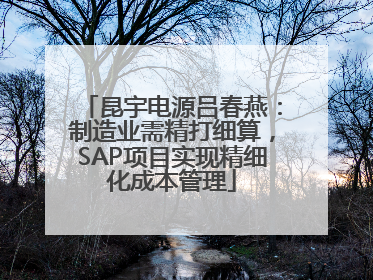 昆宇电源吕春燕：制造业需精打细算，SAP项目实现精细化成本管理