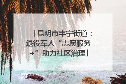 昆明市丰宁街道：退役军人“志愿服务+”助力社区治理
