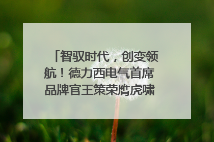 智驭时代，创变领航！德力西电气首席品牌官王策荣膺虎啸奖年度品牌人物
