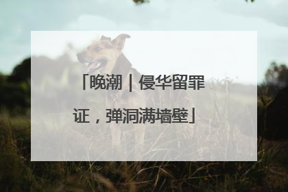 晚潮｜侵华留罪证，弹洞满墙壁