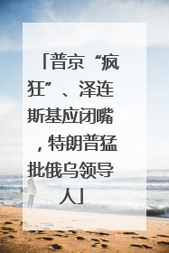 普京“疯狂”、泽连斯基应闭嘴，特朗普猛批俄乌领导人