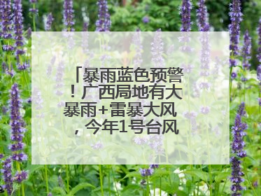暴雨蓝色预警！广西局地有大暴雨+雷暴大风，今年1号台风最新消息……
