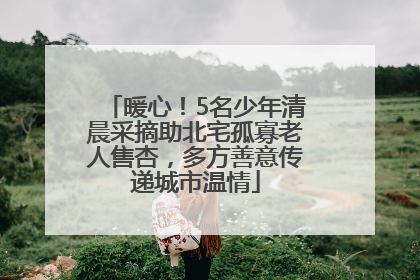 暖心！5名少年清晨采摘助北宅孤寡老人售杏，多方善意传递城市温情