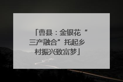 曹县：金银花“三产融合”托起乡村振兴致富梦