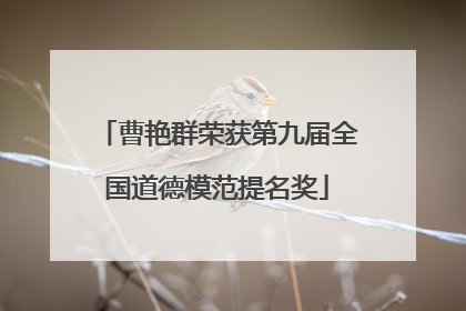 曹艳群荣获第九届全国道德模范提名奖