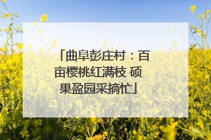 曲阜彭庄村：百亩樱桃红满枝 硕果盈园采摘忙