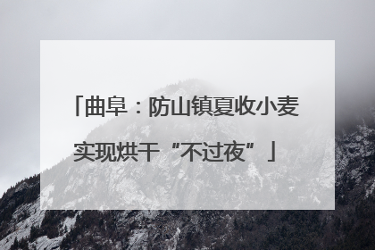 曲阜：防山镇夏收小麦实现烘干“不过夜”