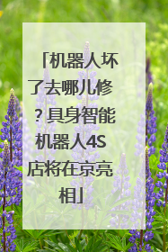 机器人坏了去哪儿修？具身智能机器人4S店将在京亮相
