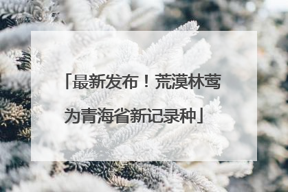 最新发布！荒漠林莺为青海省新记录种