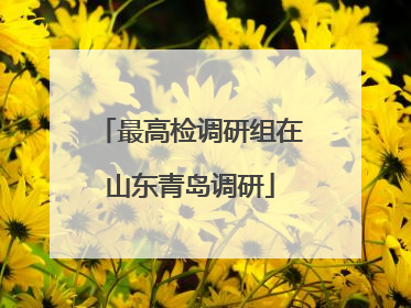 最高检调研组在山东青岛调研