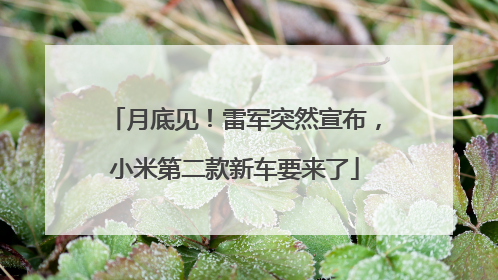 月底见！雷军突然宣布，小米第二款新车要来了