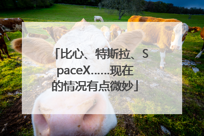 比心、特斯拉、SpaceX……现在的情况有点微妙