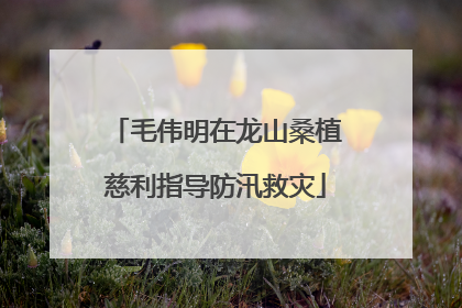 毛伟明在龙山桑植慈利指导防汛救灾