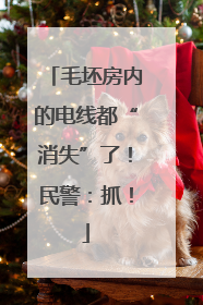毛坯房内的电线都“消失”了！民警：抓！