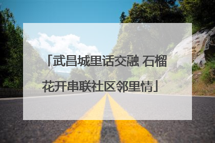 武昌城里话交融 石榴花开串联社区邻里情