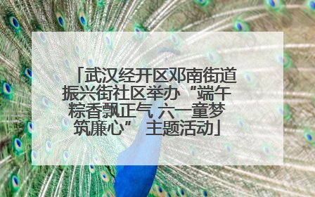 武汉经开区邓南街道振兴街社区举办“端午粽香飘正气 六一童梦筑廉心” 主题活动