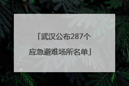武汉公布287个应急避难场所名单