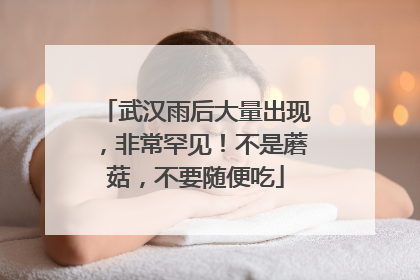 武汉雨后大量出现，非常罕见！不是蘑菇，不要随便吃