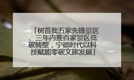 树首批五家先锋景区、三年内推百家景区低碳转型，宁德时代以科技赋能零碳文旅发展