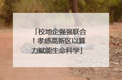 校地企强强联合！孝感高新区以算力赋能生命科学
