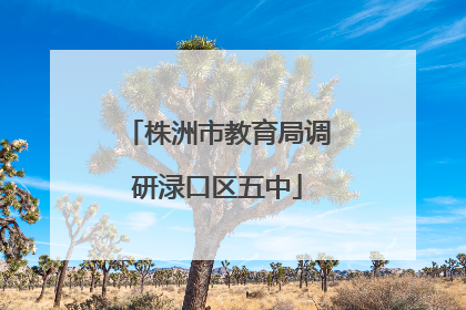 株洲市教育局调研渌口区五中