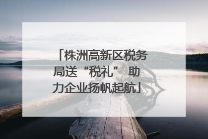 株洲高新区税务局送“税礼” 助力企业扬帆起航