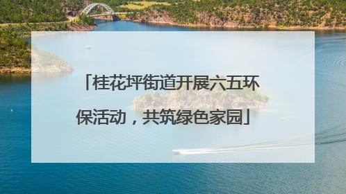 桂花坪街道开展六五环保活动，共筑绿色家园