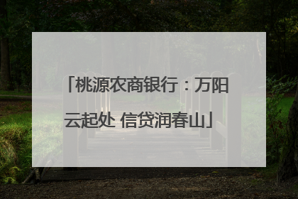 桃源农商银行：万阳云起处 信贷润春山