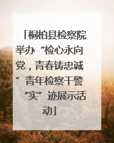 桐柏县检察院举办“检心永向党，青春铸忠诚”青年检察干警“实”迹展示活动