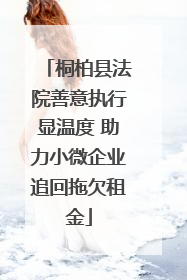 桐柏县法院善意执行显温度 助力小微企业追回拖欠租金