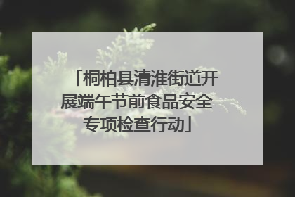 桐柏县清淮街道开展端午节前食品安全专项检查行动