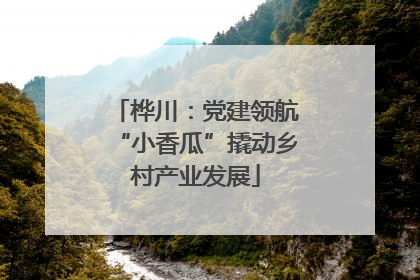 桦川：党建领航“小香瓜”撬动乡村产业发展