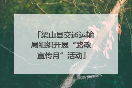 梁山县交通运输局组织开展“路政宣传月”活动