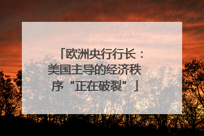 欧洲央行行长：美国主导的经济秩序“正在破裂”