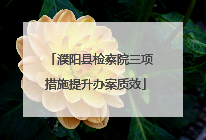 濮阳县检察院三项措施提升办案质效