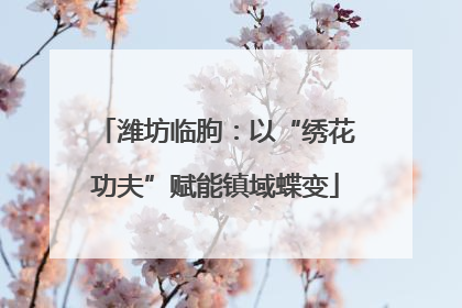 潍坊临朐：以“绣花功夫”赋能镇域蝶变