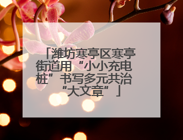 潍坊寒亭区寒亭街道用“小小充电桩”书写多元共治“大文章”
